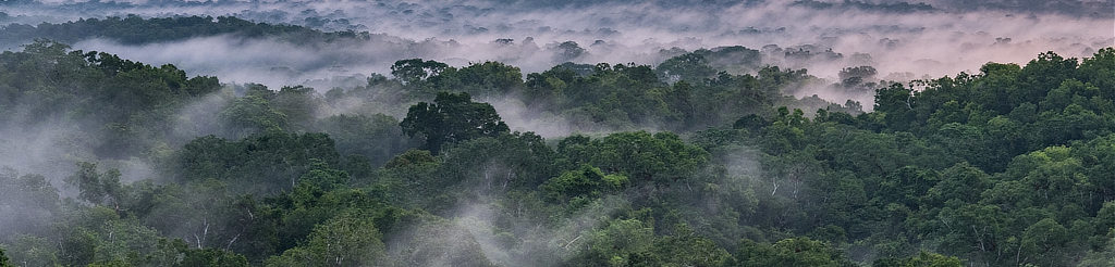 Tikal National Park in Guatemala
