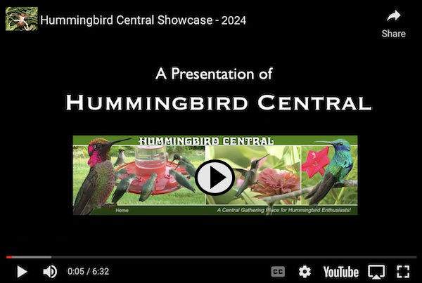 Click to view the Hummingbird Central Showcase 2025 ... a video at YouTube