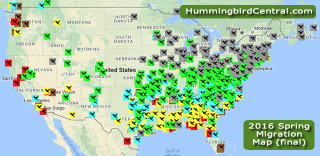 Final 2016 Hummingbird Spring Migration Map