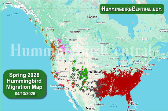 Spring 2026 Hummingbird Migration Map - click for interactive map of sightings