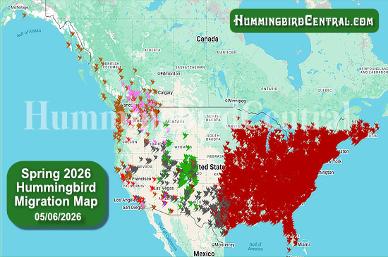Spring 2026 Hummingbird Migration Map - click for interactive map of sightings