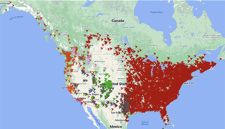 Interactive Hummingbird Spring Migration Map for 2014-2019