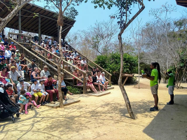 Learning and educational opportunities at the amphitheater