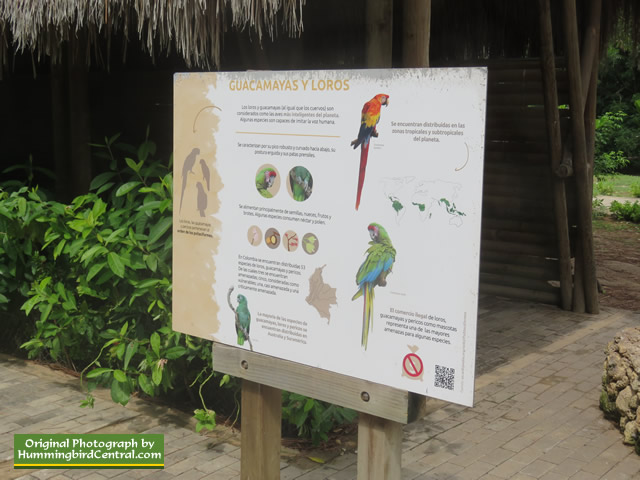 Guacamayas y Loros ... Aviario Nacional colombia