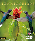 2025 hummingbird wall calendar ... at Amazon