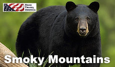 Great Smoky National Park